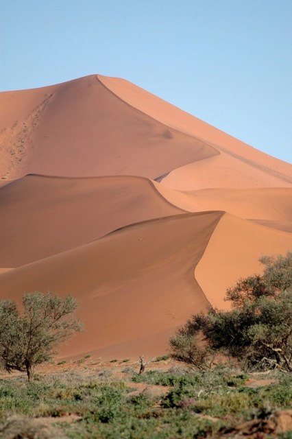 dune (5).JPG
