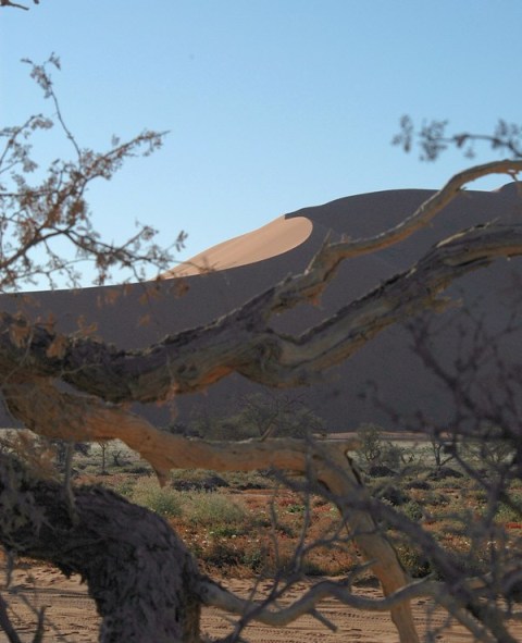 dune (7).JPG