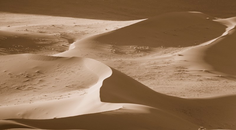 dune (8).JPG