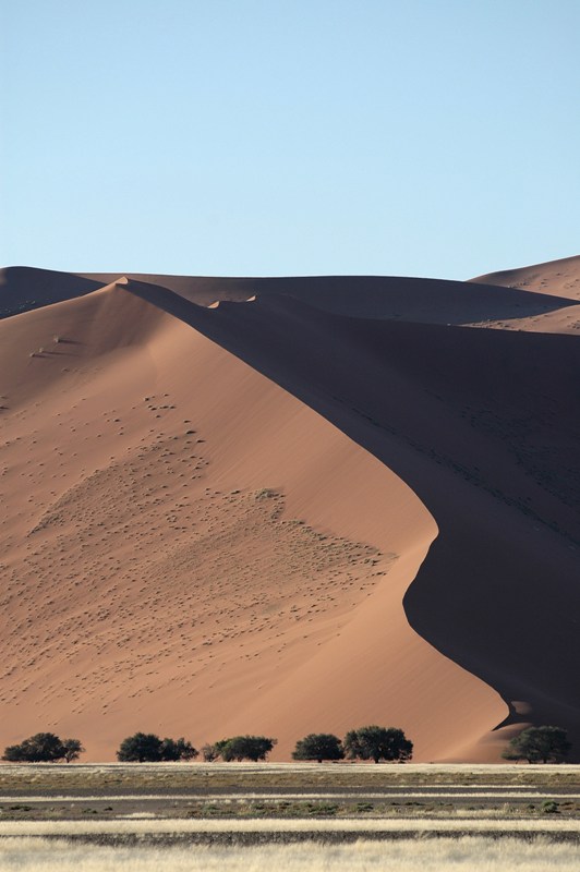 dune (9).JPG