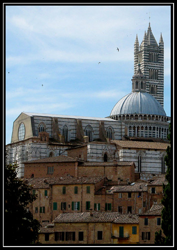 Duomo-di-Siena-ridotta.jpg