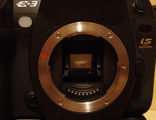 E3-BODY4.jpg