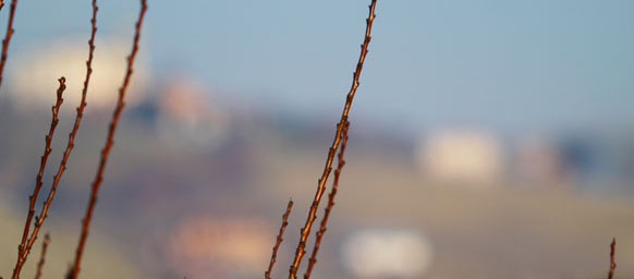 e300_150f2_crop.jpg