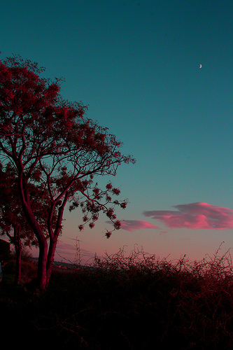 e la luna spuntò.jpg