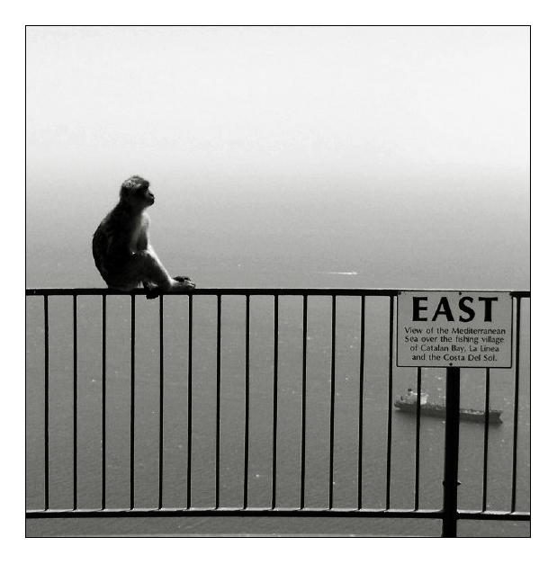 east.jpg