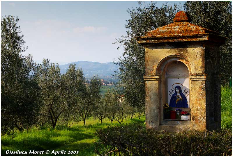 Edicola-Campagna-Vinci.jpg