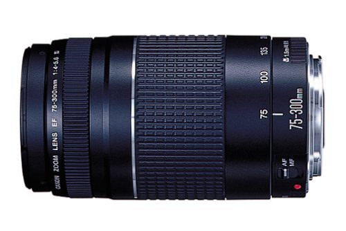 ef75-300standard.jpg