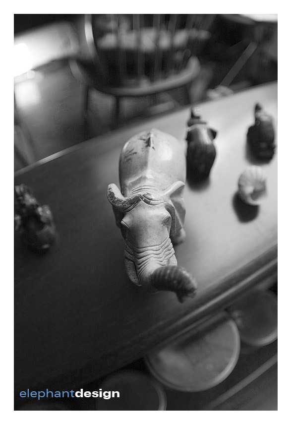 elephant.jpg