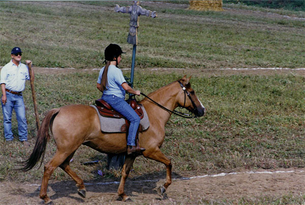Elicar_sample1.jpg