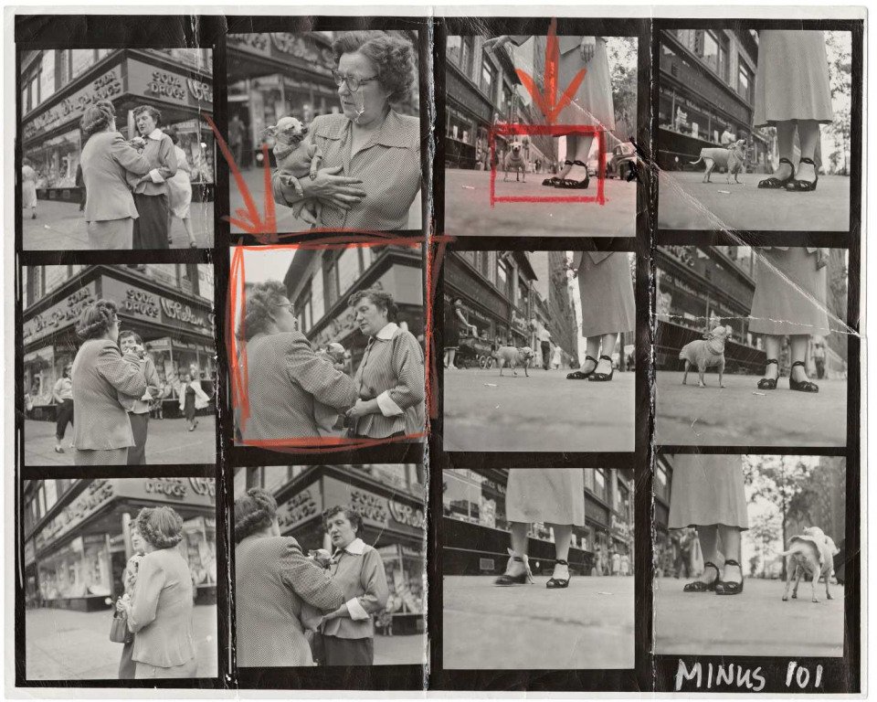 elliott_erwitt_chihuahua_new_york_city_1024x768.jpg