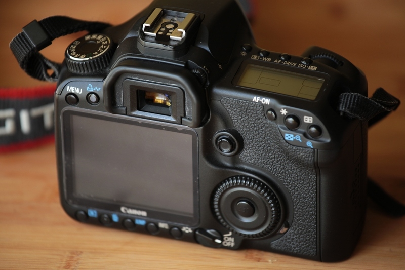 Eos40Drear_r.jpg