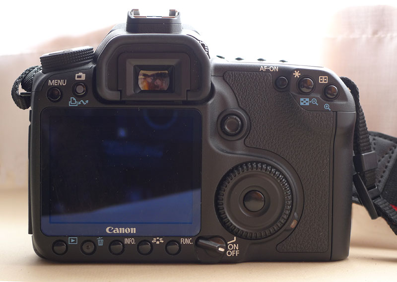 Eos50D_Rear.jpg
