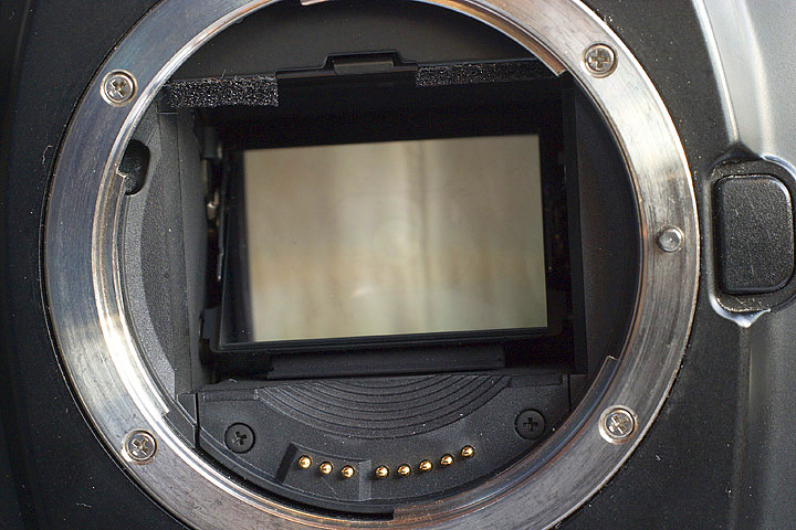EOS 3_3.jpg