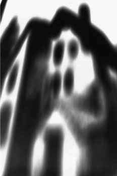 Erba.jpg