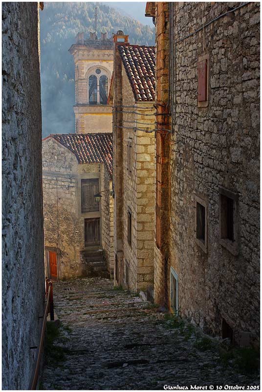 ERTO-1.jpg