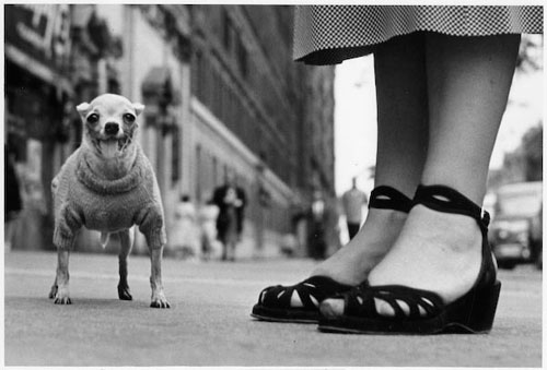 erwitt.jpg