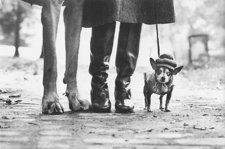 Erwitt 335.jpg