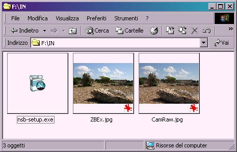 esp_ris.jpg