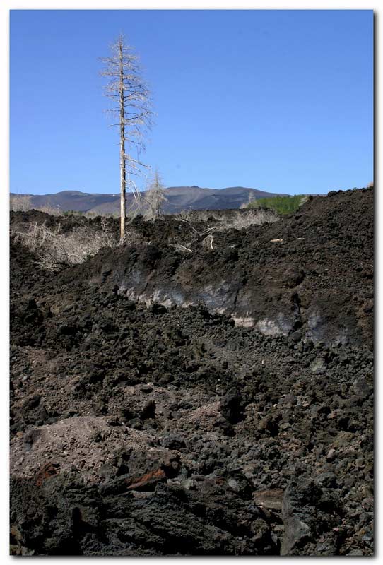 Etna - 03.JPG