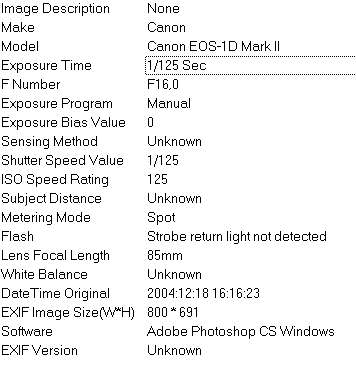 exif2.jpg
