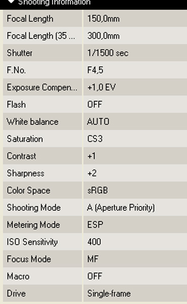 Exif.jpg