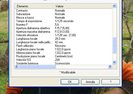 Exif primo piano.JPG