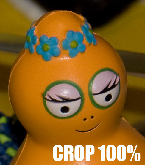 f1c.jpg
