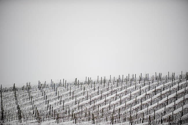 f2.8 _7SC0110.jpg