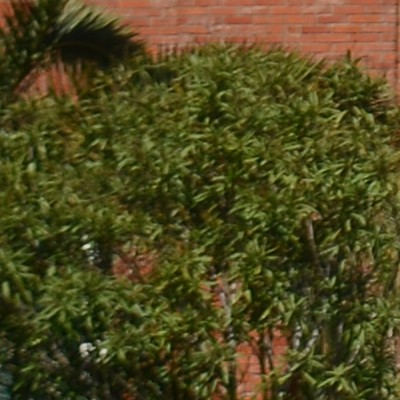 f28.JPG