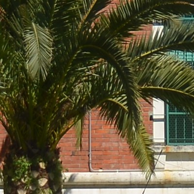 f28 centro.JPG