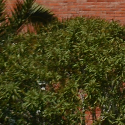 f4.jpg