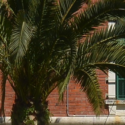 f4 centro.jpg