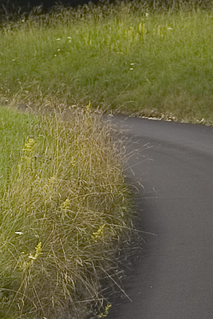 F4crop.jpg