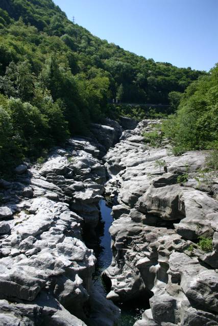 F4uforum_IMG_1007.jpg