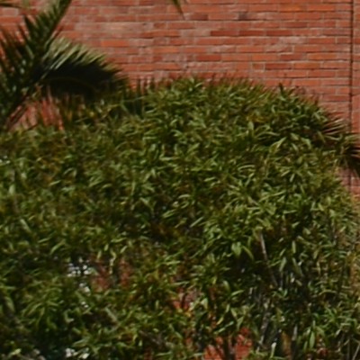 f56.JPG