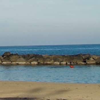 f6.3 bordo.jpg