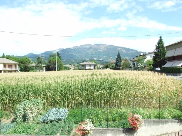 f6.5.JPG