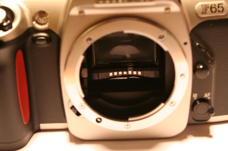 f65.JPG