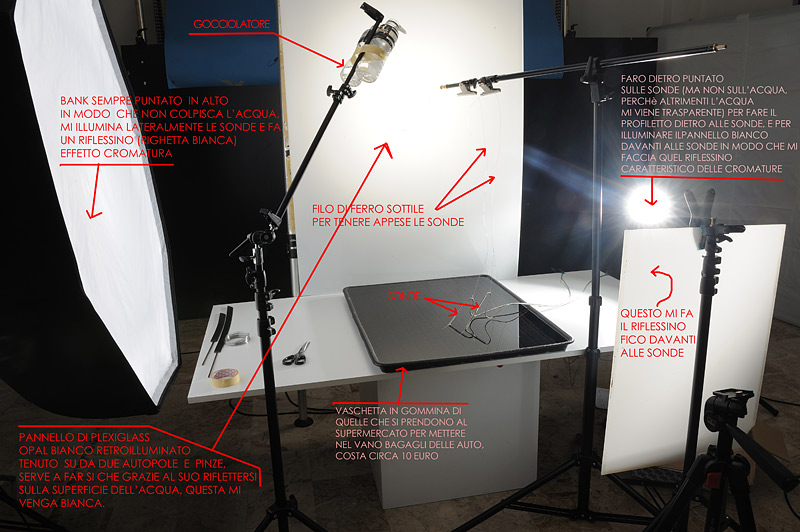 F80_0780.jpg