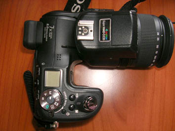 F828 a.jpg
