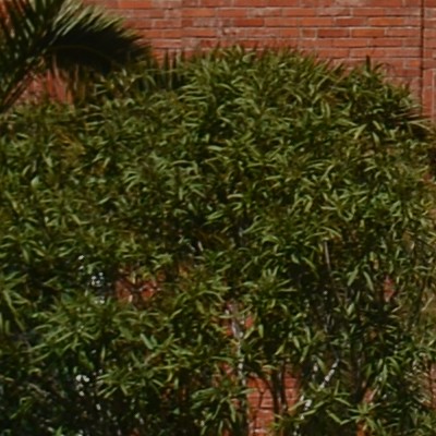 f8.JPG