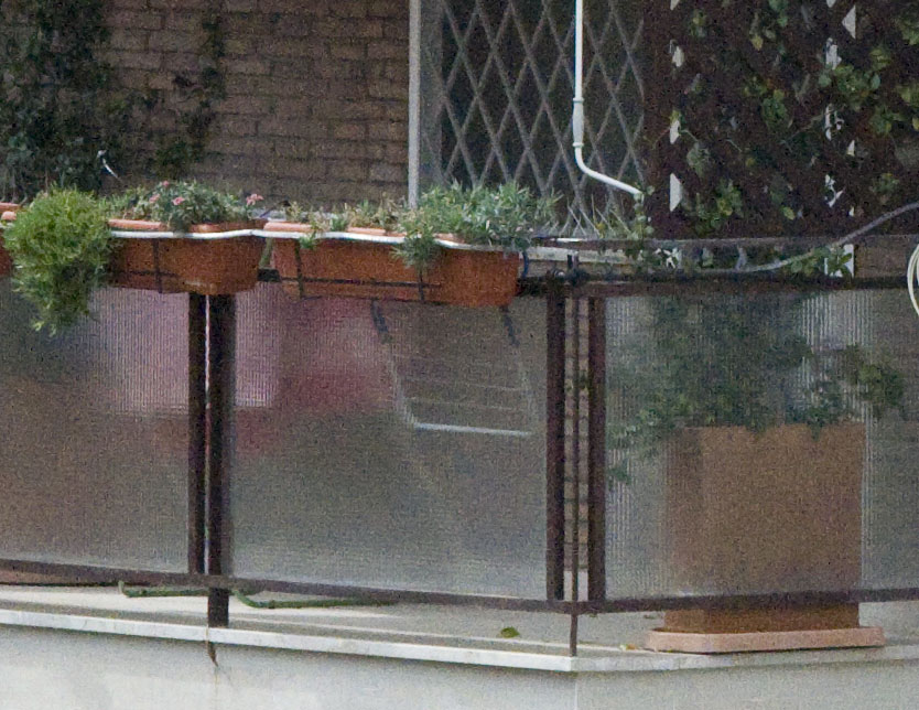 f8 3200.jpg