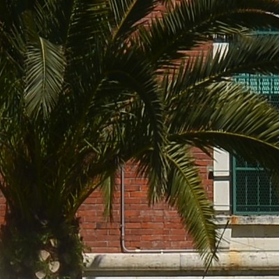 f8 centro.JPG