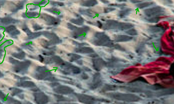 Fabio1970 B.jpg