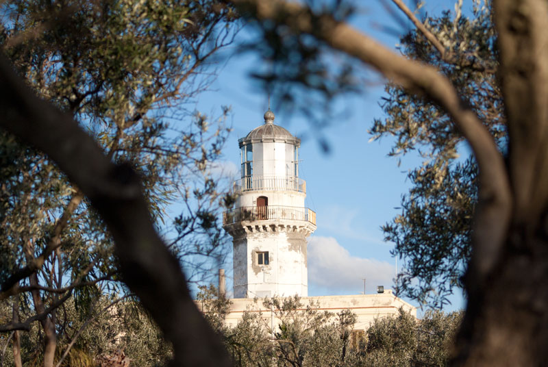 faro.jpg