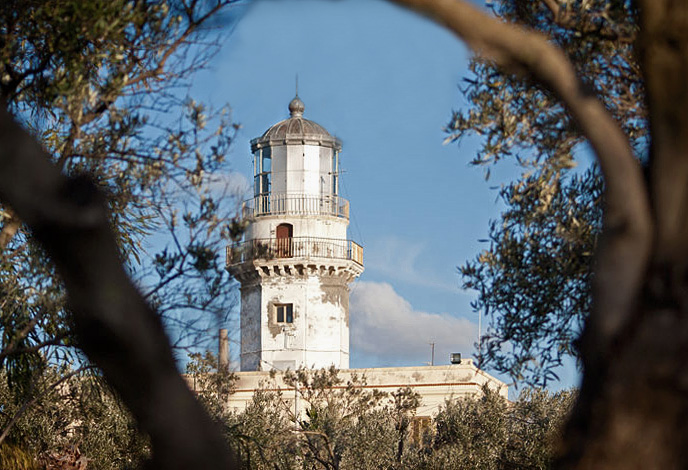 faro_172.jpg