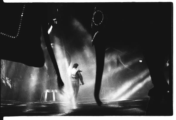 fasci-di-luce-con-elefanti.jpg