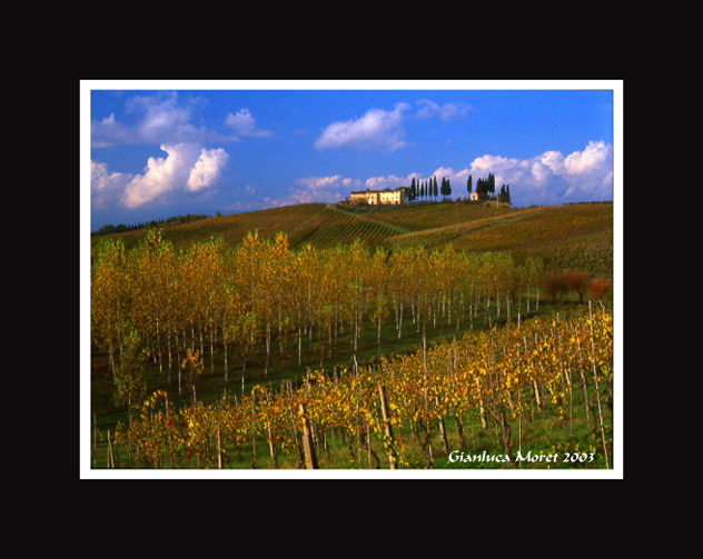 Fattoria-Stabbia-2003.jpg