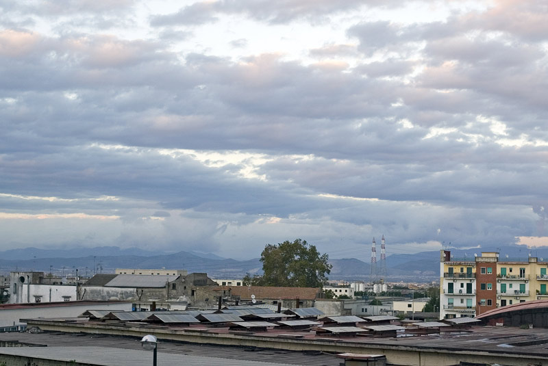 FE1G9308-web.jpg