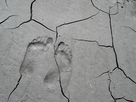 FEET.JPG